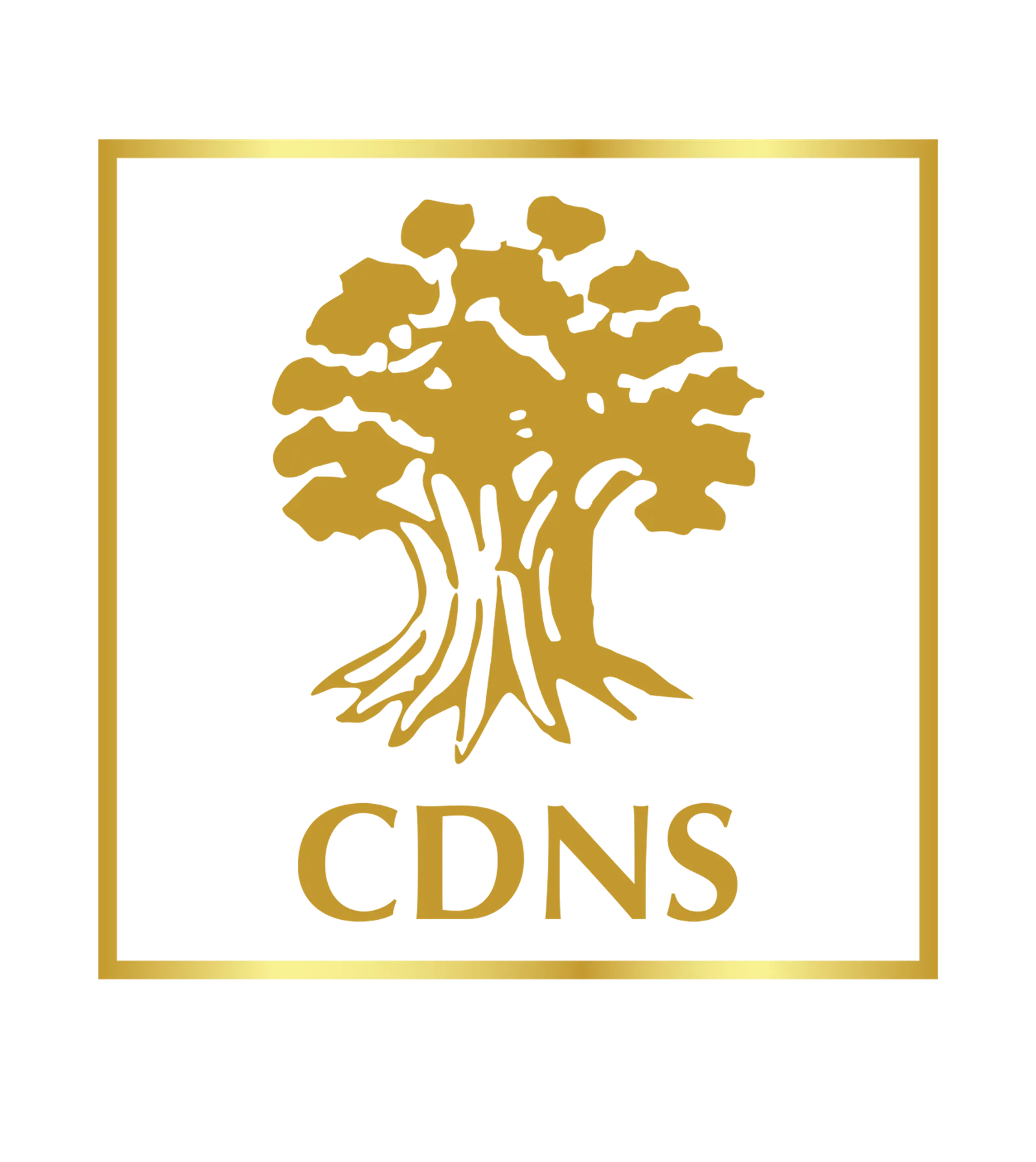 CDN